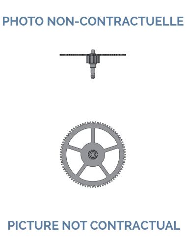 Zenith 3019 Center wheel with canon pinion H 1.94 No 205