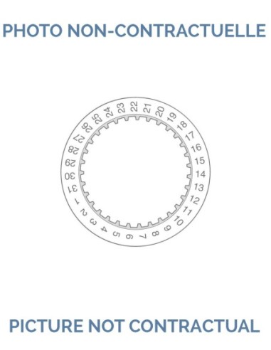 Omega 1010 Date indicator printed No 1580