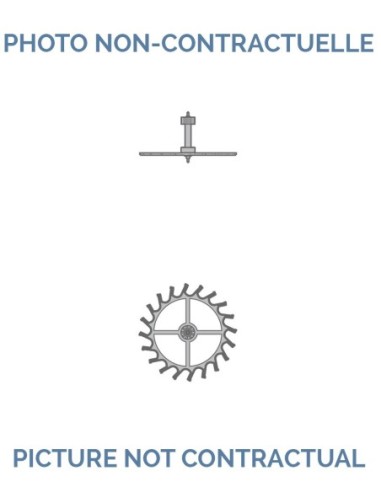 FHF 64 Escape wheel and pinion with straight pivots No 705