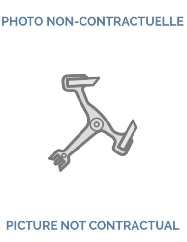 FHF 64 Jewelled pallet fork and staff, for lower end-piece No 711