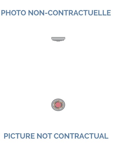 ETA 2892 Jewelled shock–absorber,for balance,shouldered, to press in, top INCABLOC No 20-6