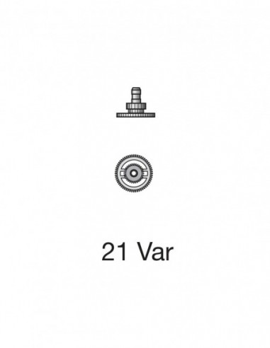 ETA 255.411 Cannon pinion with driving wheel No 31 H2