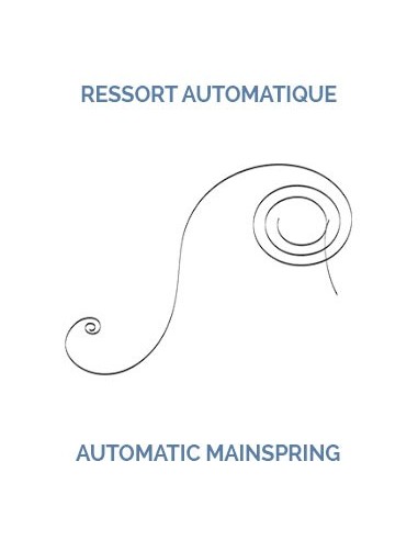 Mainspring 7753 Automatic W : 1.60  Str : 0.12  Diameter :  13 1/4
